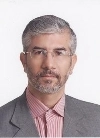 هادی وکیلی