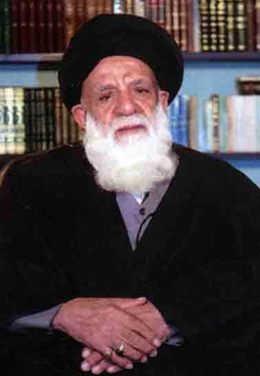 سید مرتضی حسینی نجومی