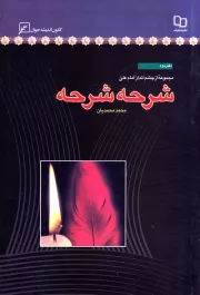 مجموعه از چشم انداز امام علی (ع) - دفتر دوم: شرحه شرحه، گزارش کوتاه امیرالمؤمنین (ع) از زندگی خویش