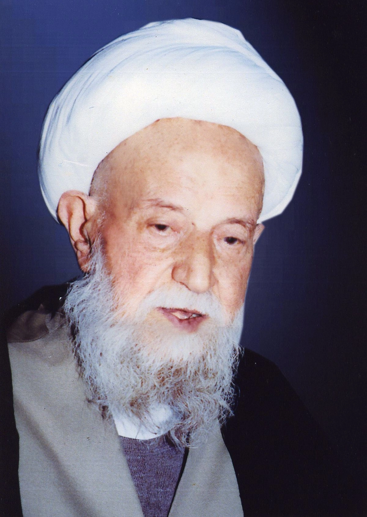 محمدهادی تالهی